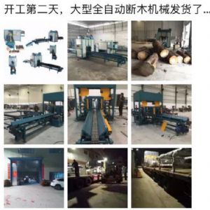 2017年發(fā)貨國內250型原木斷木機生產線&nbsp;圓木截木機，鋸木機生