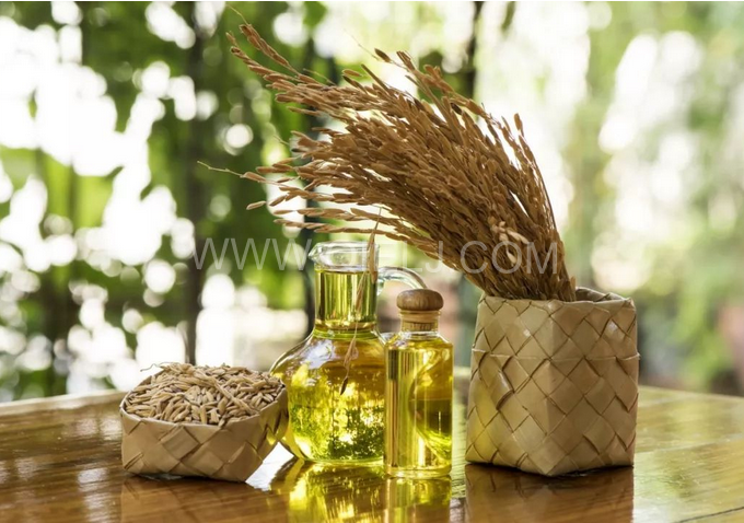 米糠油精煉設備，企鵝機械不斷創新提升工藝效果(圖1)